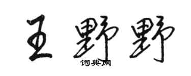 駱恆光王野野行書個性簽名怎么寫