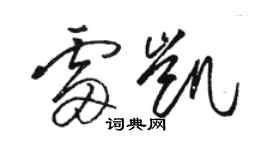 駱恆光雷凱草書個性簽名怎么寫