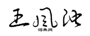 曾慶福王風池草書個性簽名怎么寫