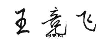 駱恆光王競飛行書個性簽名怎么寫