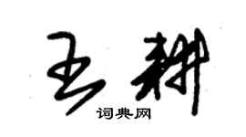 朱錫榮王耕草書個性簽名怎么寫