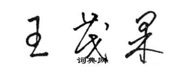 駱恆光王茂果草書個性簽名怎么寫