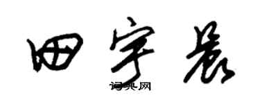 朱錫榮田宇晨草書個性簽名怎么寫