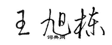 駱恆光王旭棟草書個性簽名怎么寫