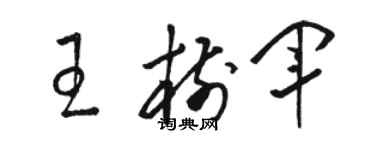 駱恆光王樹軍草書個性簽名怎么寫