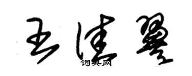 朱錫榮王佳翼草書個性簽名怎么寫