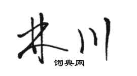 駱恆光林川草書個性簽名怎么寫