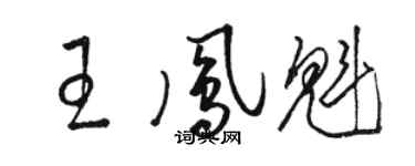 駱恆光王鳳魁草書個性簽名怎么寫
