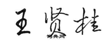 駱恆光王賢桂行書個性簽名怎么寫