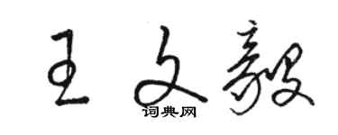 駱恆光王文毅草書個性簽名怎么寫