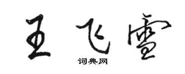 駱恆光王飛雪行書個性簽名怎么寫