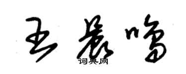 朱錫榮王晨鳴草書個性簽名怎么寫