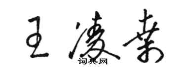 駱恆光王凌桑草書個性簽名怎么寫