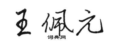 駱恆光王佩元行書個性簽名怎么寫