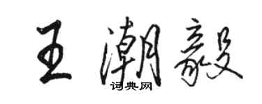 駱恆光王潮毅行書個性簽名怎么寫