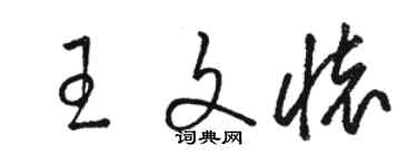 駱恆光王文懷草書個性簽名怎么寫