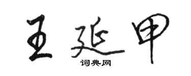 駱恆光王延甲行書個性簽名怎么寫