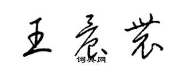 梁錦英王晨農草書個性簽名怎么寫