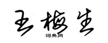 朱錫榮王梅生草書個性簽名怎么寫