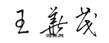 駱恆光王華茂草書個性簽名怎么寫