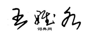 朱錫榮王雅各草書個性簽名怎么寫