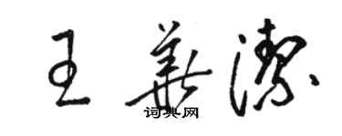 駱恆光王華潔草書個性簽名怎么寫