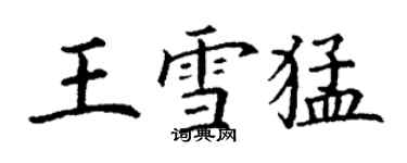 丁謙王雪猛楷書個性簽名怎么寫