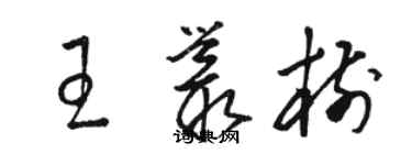 駱恆光王叢樹草書個性簽名怎么寫