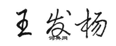 駱恆光王發楊行書個性簽名怎么寫