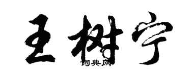 胡問遂王樹寧行書個性簽名怎么寫