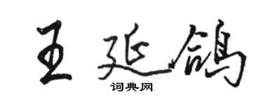駱恆光王延鴿行書個性簽名怎么寫