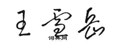 駱恆光王雪岳草書個性簽名怎么寫