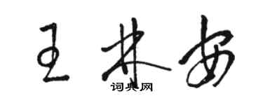 駱恆光王林安草書個性簽名怎么寫