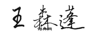 駱恆光王森蓬行書個性簽名怎么寫