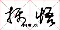 朱錫榮攝悟草書怎么寫