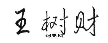 駱恆光王樹財行書個性簽名怎么寫
