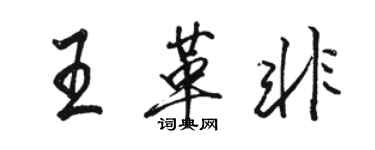 駱恆光王革非行書個性簽名怎么寫