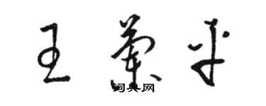 駱恆光王蘭平草書個性簽名怎么寫