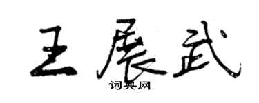 曾慶福王展武行書個性簽名怎么寫