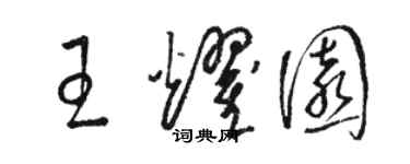 駱恆光王耀園草書個性簽名怎么寫