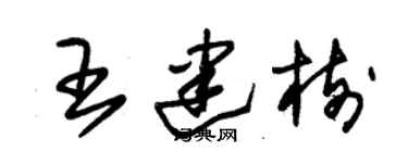 朱錫榮王建樹草書個性簽名怎么寫