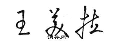 駱恆光王美拉草書個性簽名怎么寫