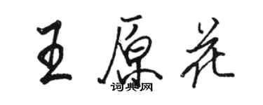 駱恆光王原花行書個性簽名怎么寫