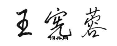 駱恆光王憲蓉行書個性簽名怎么寫