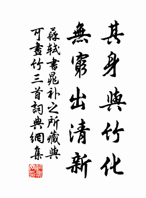 卻將白髮三千丈，繰作霜絲補錦囊 詩詞名句