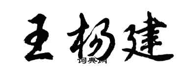 胡問遂王楊建行書個性簽名怎么寫