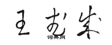 駱恆光王武成草書個性簽名怎么寫