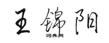 駱恆光王錦陽行書個性簽名怎么寫