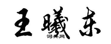 胡問遂王曦東行書個性簽名怎么寫