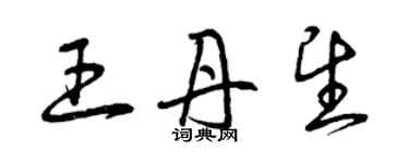 曾慶福王丹望草書個性簽名怎么寫